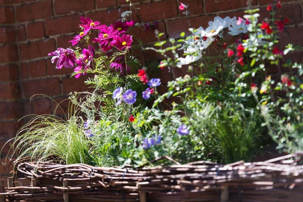 Wren Cottage, A Very Cosy Historic Coastal Cottage In A Pretty Little Village Wickham Market Luaran gambar